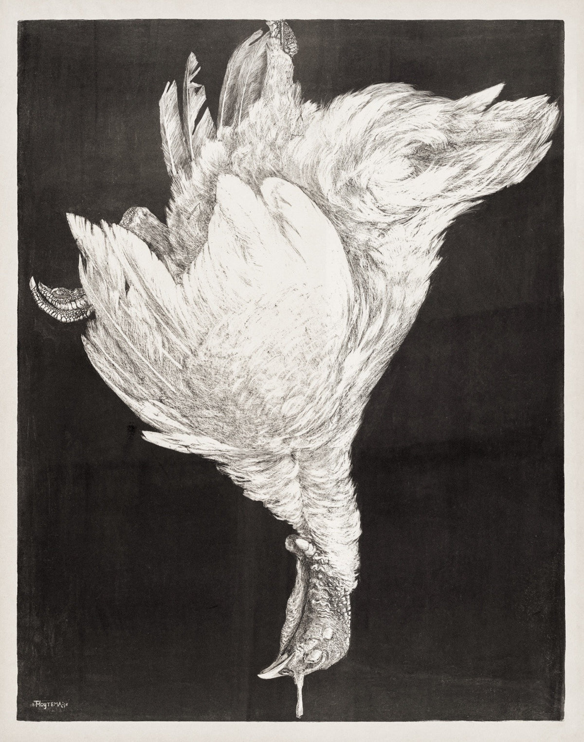 Still Life with Turkey — 76 × 97 cm (30 × 38 in)